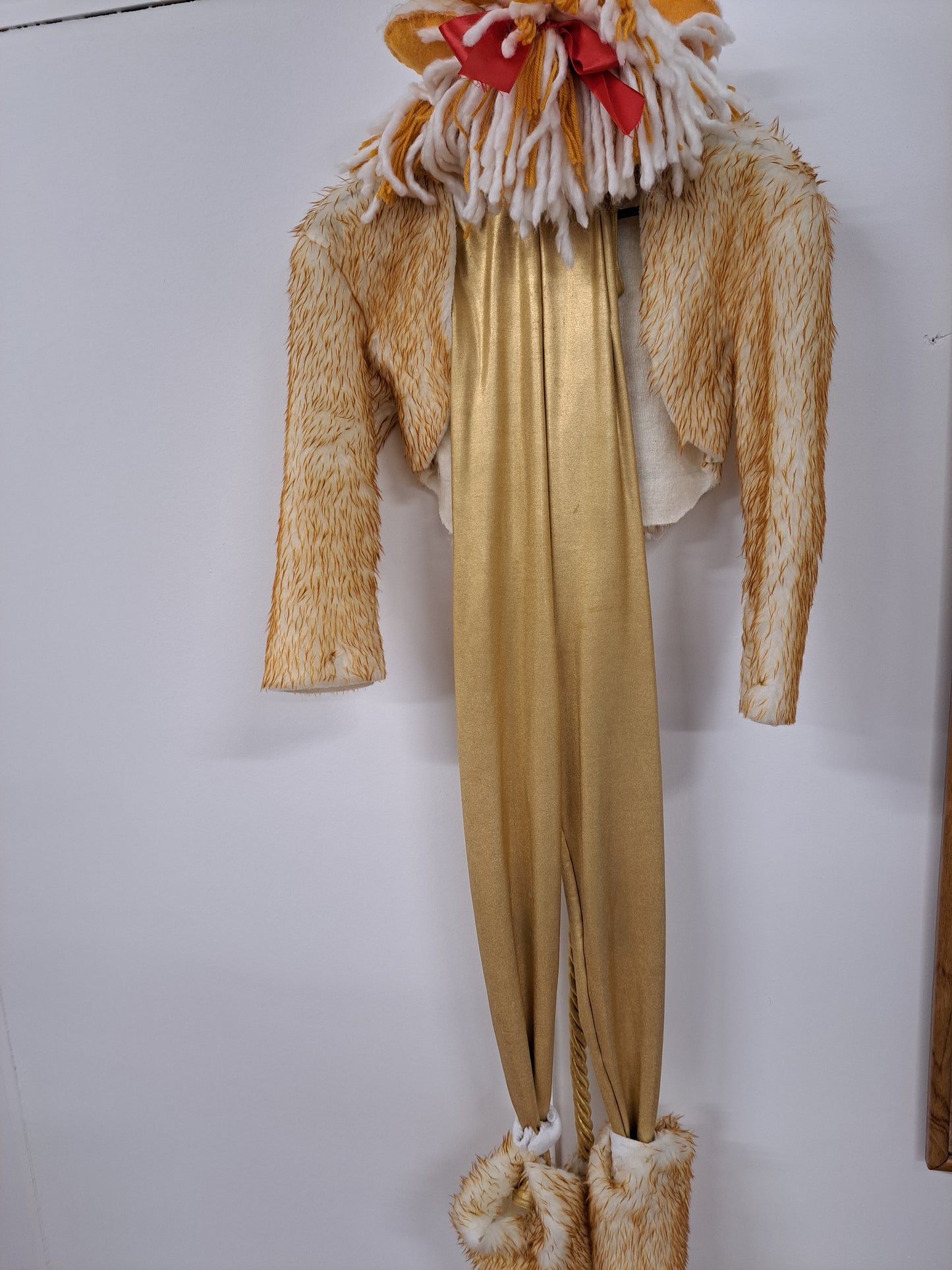 Wizard of Oz Costume set