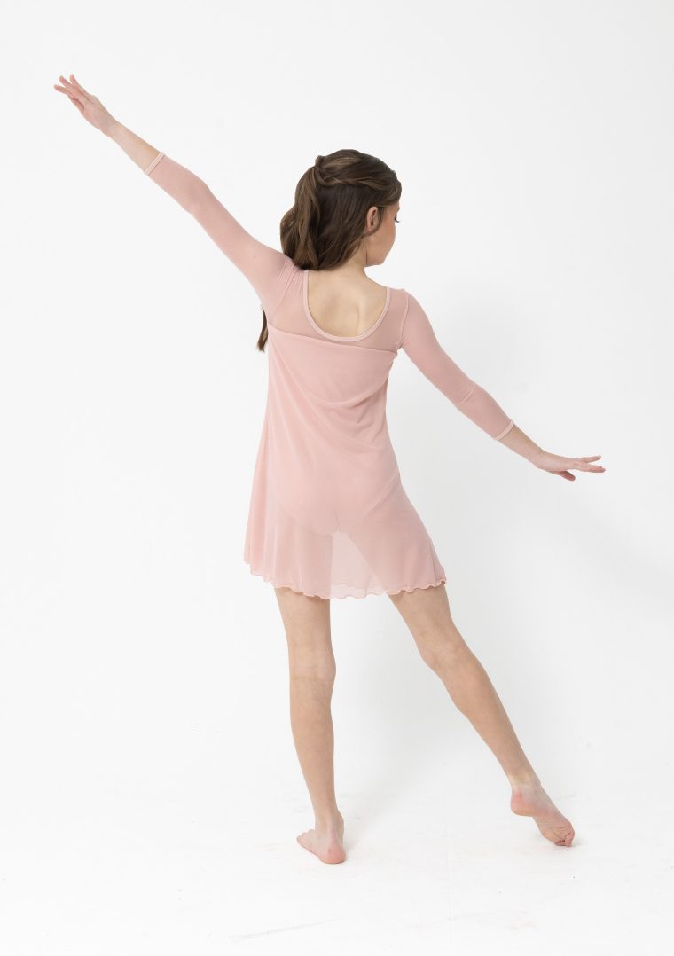 Amber Mesh Dress