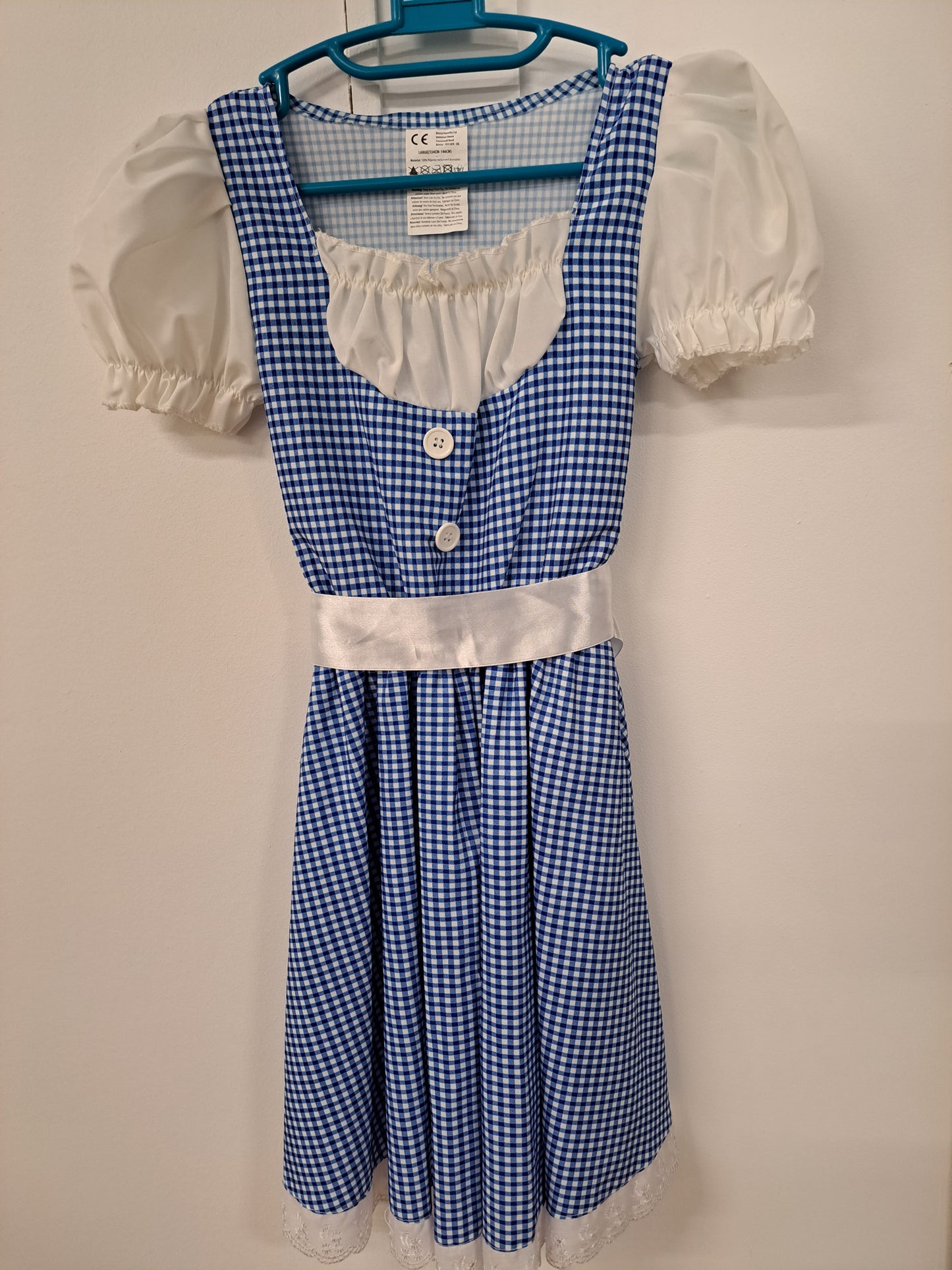 Wizard of Oz Costume set