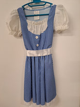 Load image into Gallery viewer, Wizard of Oz Costume set