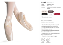 Load image into Gallery viewer, SoDanca Alina I &amp; II Pointe Shoes